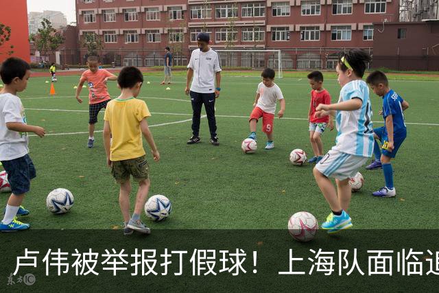 卢伟被举报打假球！上海队面临追罚，张镇麟坑惨球队